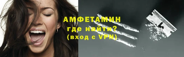 дживик Богородск