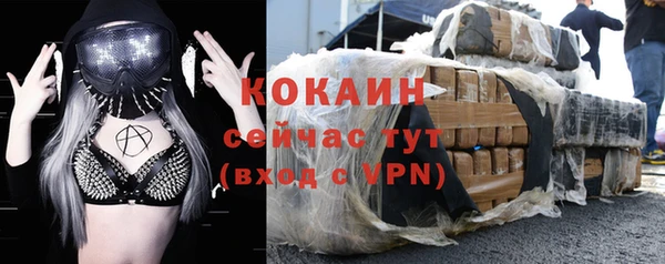 дживик Богородск