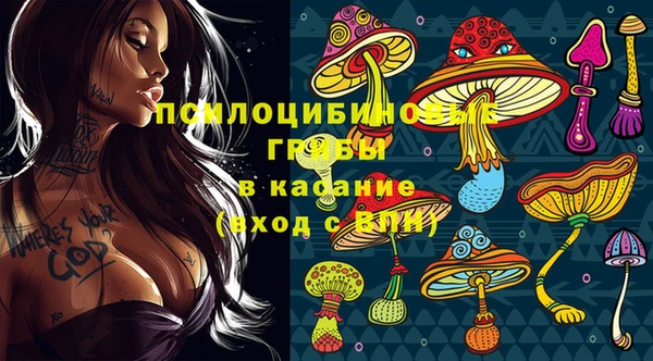 дживик Богородск
