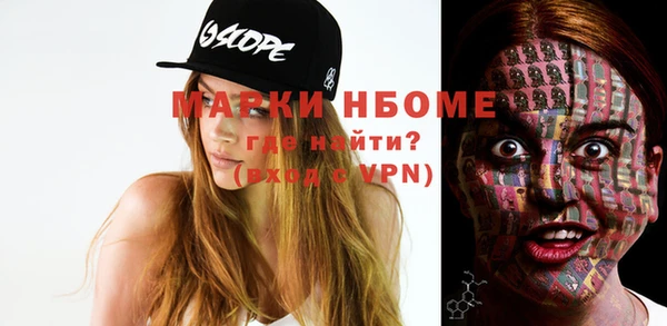дживик Богородск