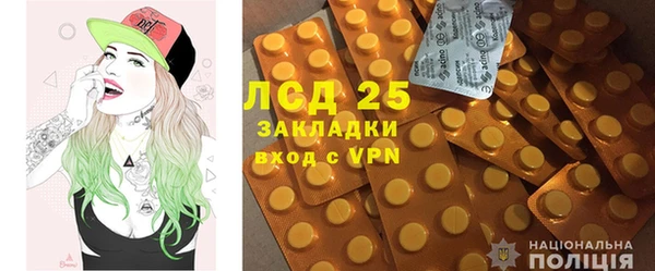 дживик Богородск
